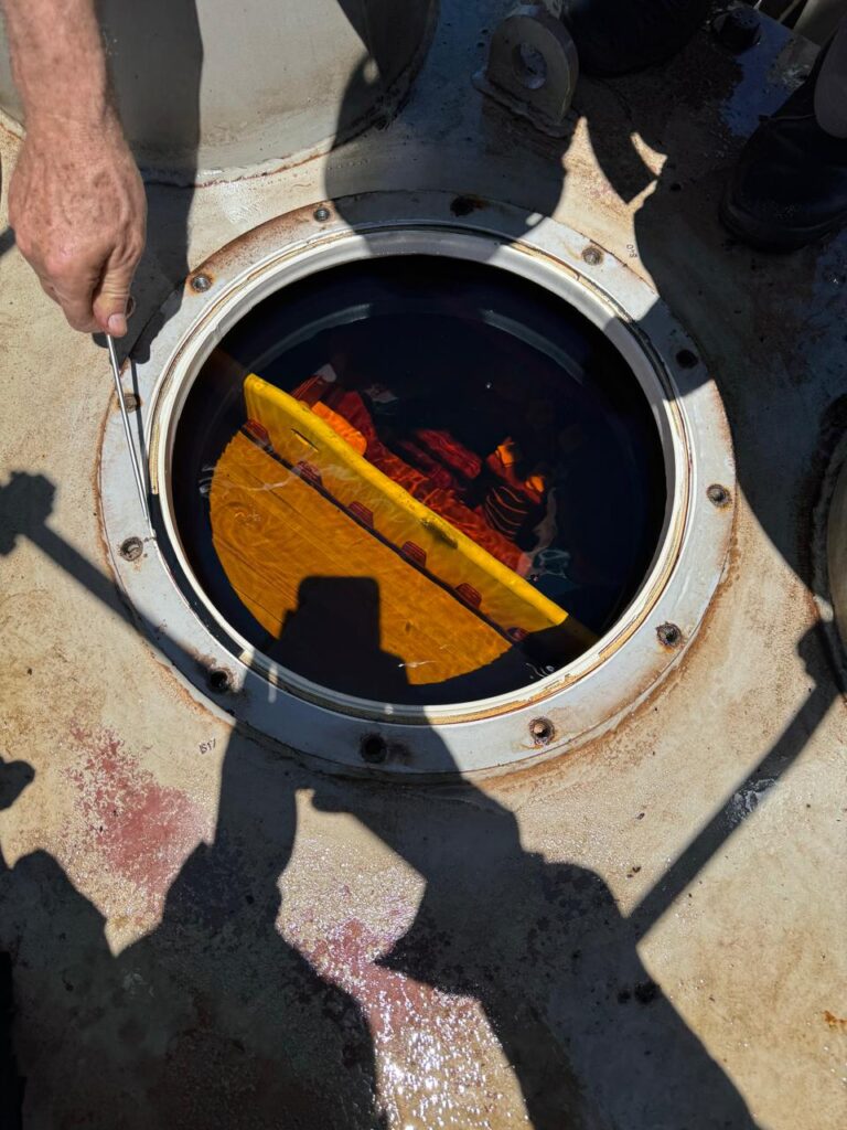 296f0d5f-6997-4ab5-b158-a3a19471f281